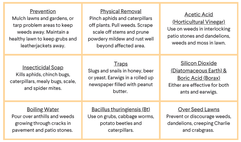 The Many Uses of Borax - Organic Authority