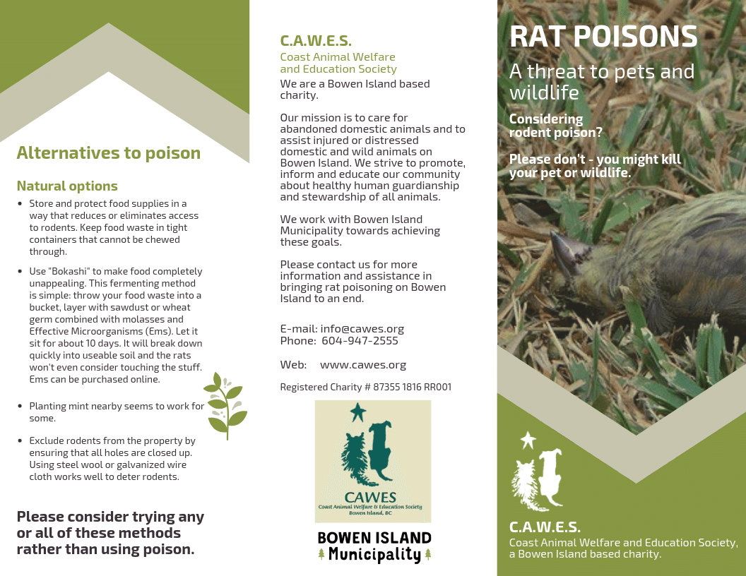 Rat poison injuring wildlife - BC SPCA