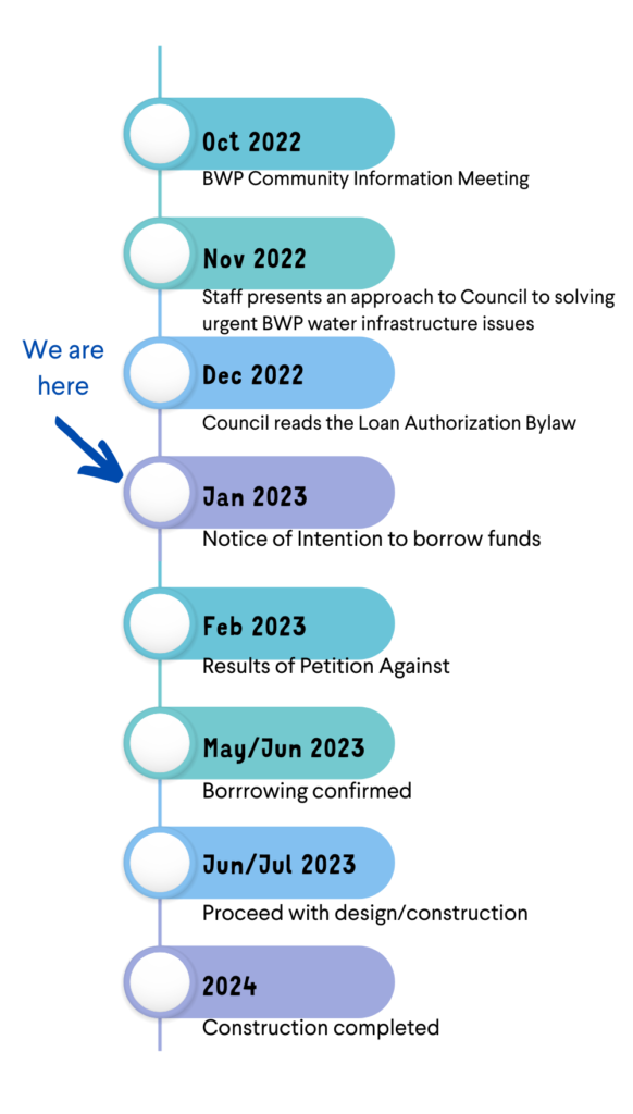 Bwp Project Timeline 1