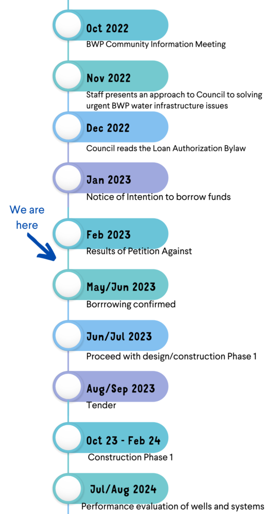 Bwp Project Timeline (1)