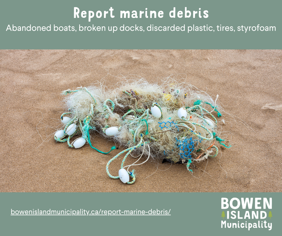 Report Marine Debris
