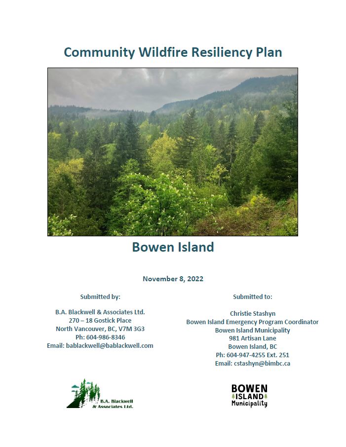 Community Wildfire Resliency Plan