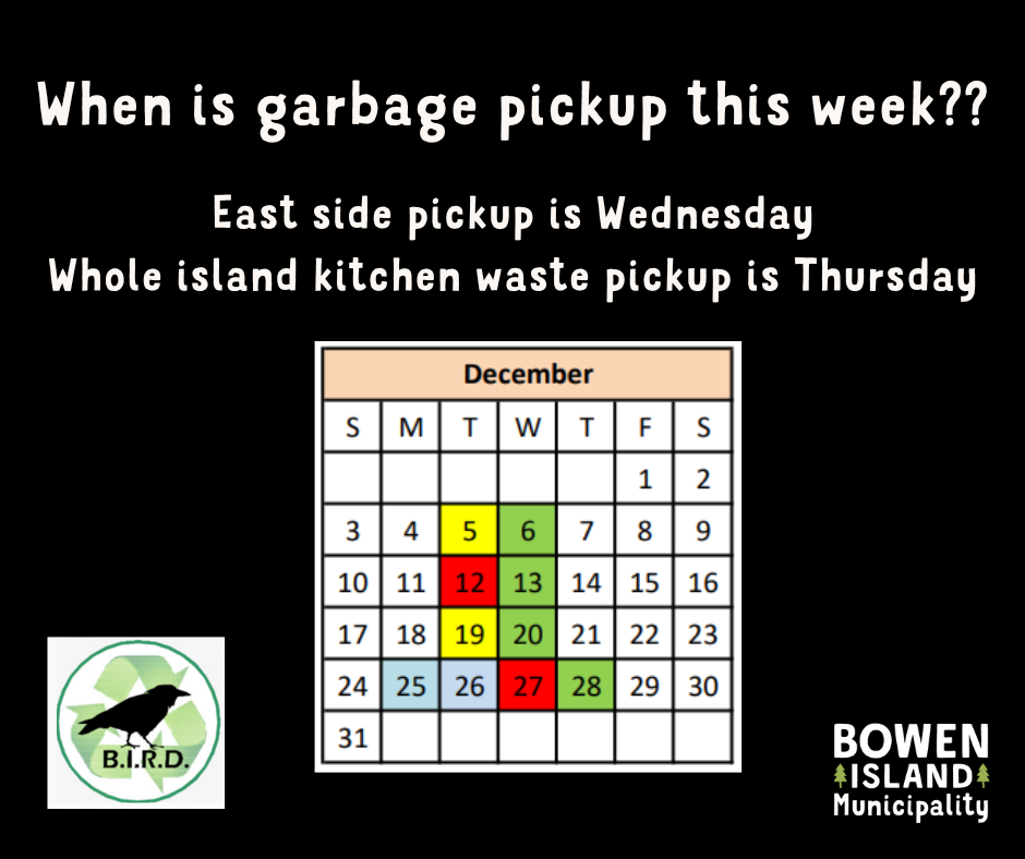When Is Garbage Pickup This Week Near Me